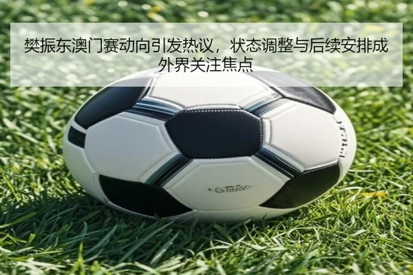 樊振东澳门赛动向引发热议，状态调整与后续安排成外界关注焦点